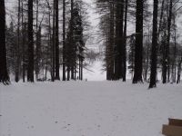 Image00003.jpg
