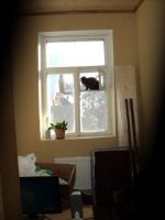 domm1_(5).jpg