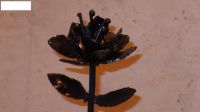 flor.JPG