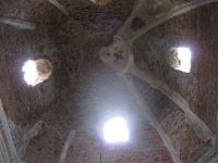 sus_(33).jpg