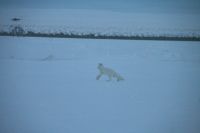 Имя файла=IMG_4438-filtered.jpg
Размер файла=47КБ
Размеры=572x382
Дата=Фев 08, 2010 IMG_4438-filtered.jpg