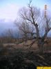 dscn1730.jpg