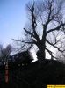 dscn1743.jpg
