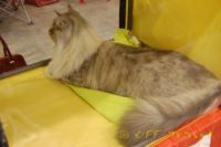 Имя файла=DSC_0074.JPG
Размер файла=65КБ
Размеры=800x532
Дата=Фев 26, 2010 DSC_0074.JPG