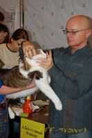 Имя файла=DSC_0085.jpg
Размер файла=73КБ
Размеры=532x800
Дата=Фев 26, 2010 DSC_0085.jpg