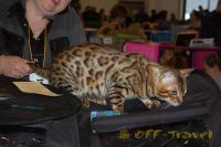 DSC_0088.JPG