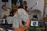 DSC_0096.JPG