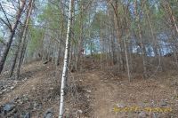 DSC_0239.jpg