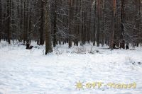 DSC_0213.jpg