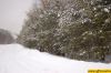 dsc_0007.jpg
