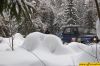 dsc_0115.jpg