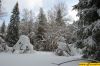 dsc_0117.jpg