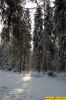 dsc_0122.jpg